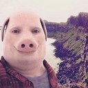 Santixd1