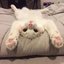 Enoch@lyn