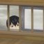 Krys_9