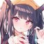 FurinaniruF