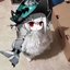 BoqiQAQ