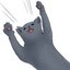 i2ebirThz-