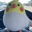 Daiyu_0111_