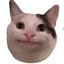 un_sQuare