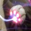 ElectricCat