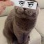 Mirmoo