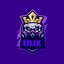 DUX(osu_player)