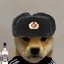 Srdoge829