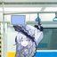Nenocombo