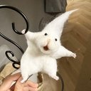 nurupo