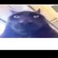 XxDarkVoid